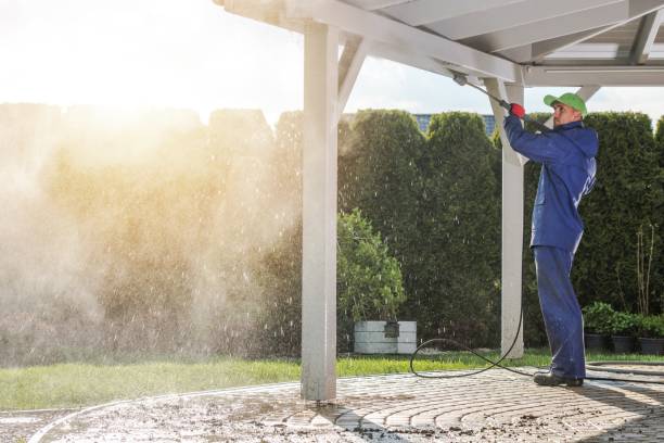 Best Gutter Cleaning and Brightening in Plains, MT