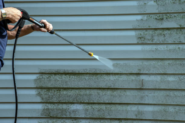 Best Graffiti Removal Services in Plains, MT